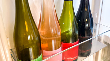 Das Bild zeigt die Innenseite einer Kühlschranktür. in der unteren Halterung stehen vier Flaschen Wein nebeneinander. V. r. n. l.: Vinosaurier grün, rosé, rot und schwarz. 