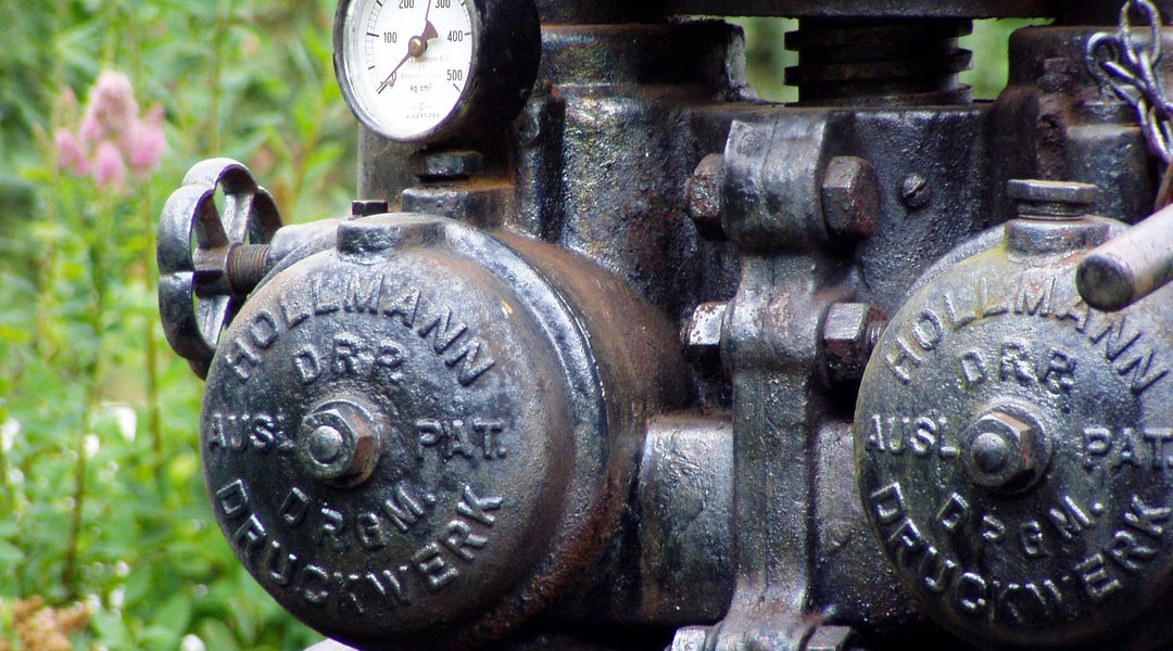 Das VinosaurierBlog Vinosaurier.