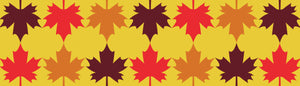 Da das Thema der Page Herbstwein ist, sind auf diesem Bild Weinreben im Herbst zu sehen. 